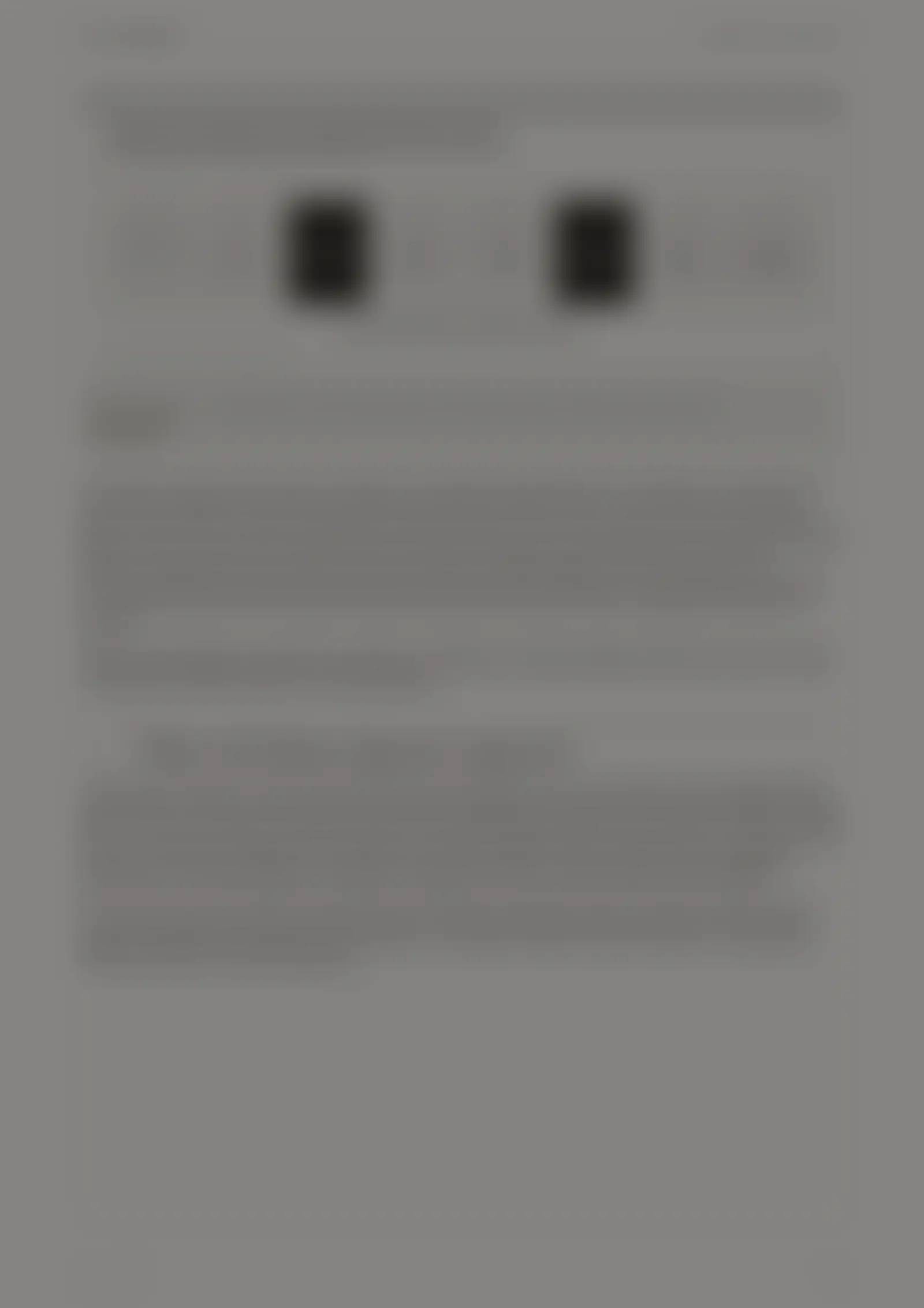 Source-blurred preview of page 4
